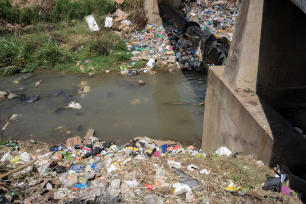 istock Polluted riverbanks covered in filth 1478380445