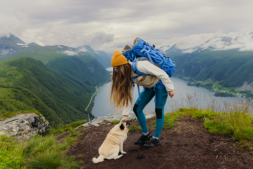 Female backpacker with long hair in yellow hat and blue backpack with cute pug contemplating a trip with view of the scenic fjord in Western Norway, Scandinavia