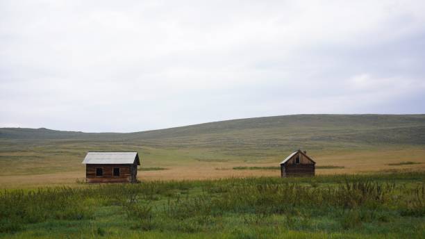 istock Isolated barns in a field covered in greenery in the countryside 1478384432