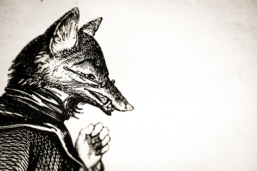 Humanized animals illustrations: Fox