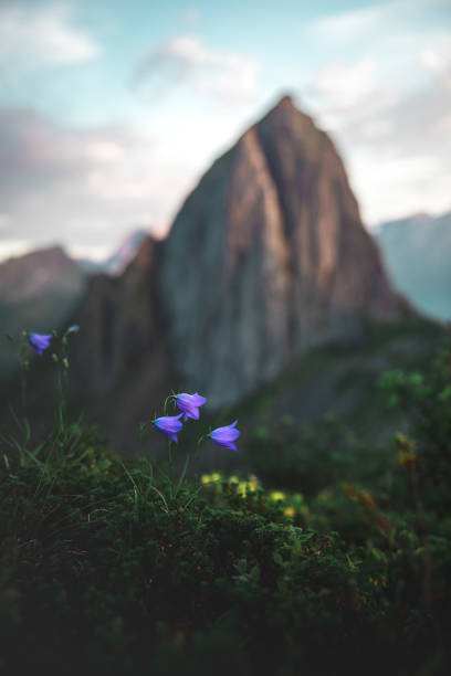 istock Segla mountain in Norway, on the Senja island 1478389850