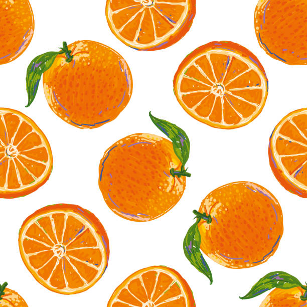 эскиз doodle бесшовный узор с апельсинами - orange spray fruit leaf stock illustrations