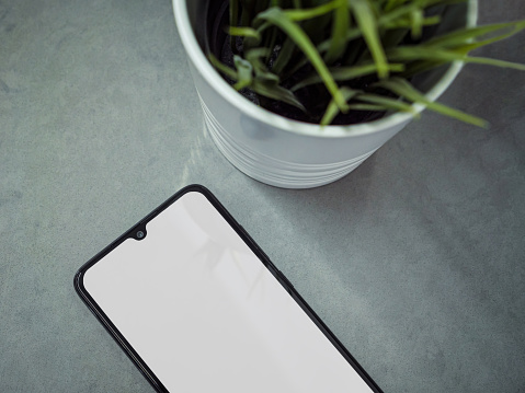 A modern minimalist workspace with a black mobile smartphone mockup a green plan