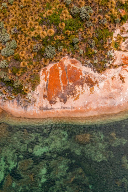 istock Closeup of a rocky coastline 1478394281
