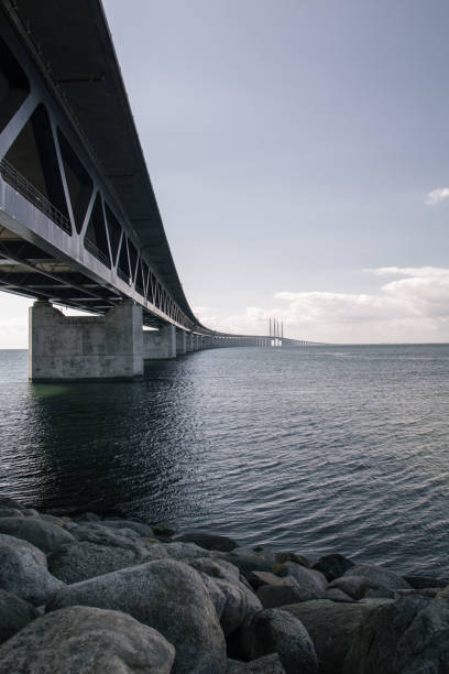 istock Vertical shot of a bridge on the lake 1478394637