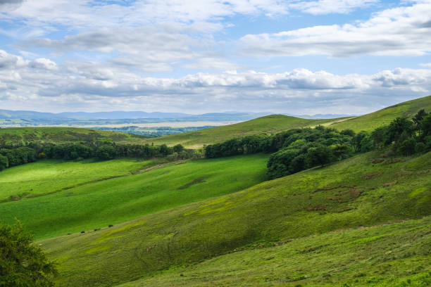 istock Idyllic hilly pasture landscape under dramatic skies 1478394876