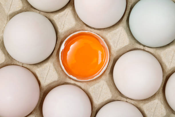 istock Top view egg yolk and egg white high protein good for body 1478395117