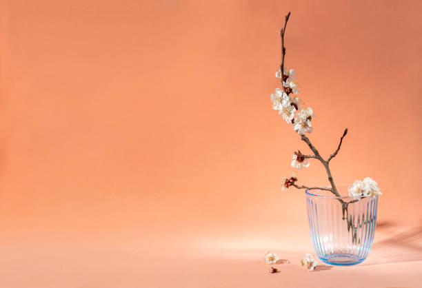 istock Blue glass and blossom cherry branch on the orange background. Spring bright light. Empty space 1478395652