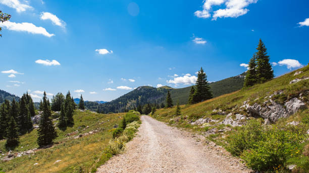 istock Beautiful view of a unpaved 1478397000