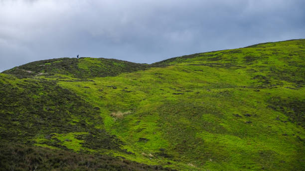 istock Hiker in Scottish hills with green fields below dark skies 1478398697