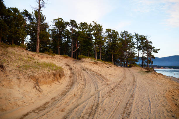 Summer landscape. Roads on a sandy beach along the lake shore.
