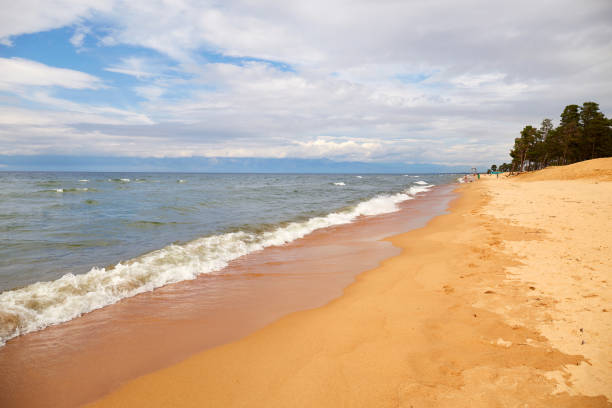Sandy beach, waves, trees in the distance. Beautiful summer seascape. Wild untouched nature.