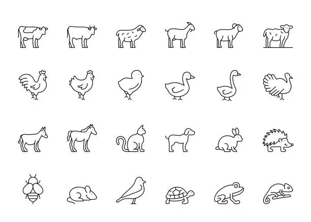 Vector illustration of Domestic Animals Line Icons