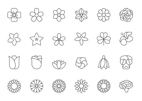 Flower Types Editable Stroke Line Icons