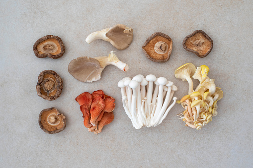 Shiitake mushrooms, oyster mushrooms and enoki mushrooms flat lay still life over a plain background