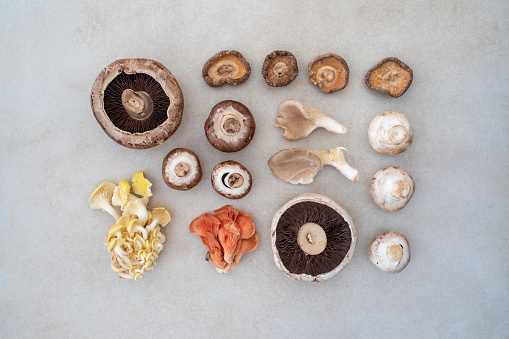 Shiitake, oyster, chestnut, white button and open cup mushrooms flat lay still life over a plain background