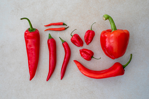 Variety of red peppers and chilli peppers flat lay still life over a plain background