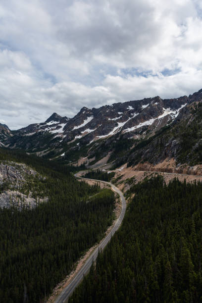 istock Vertical shot of a path between forests in a mountainous region under the cloudy sky 1478416706