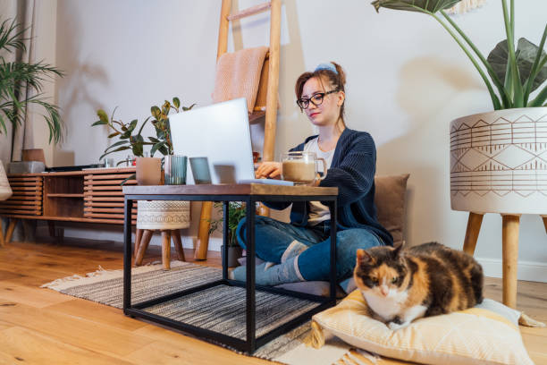 Woman using laptop while sitting on floor cushions with sleeping cat pet. Cozy workspace in modern Scandi interior home with green plants. Remote work at home. Online education or entertainment.