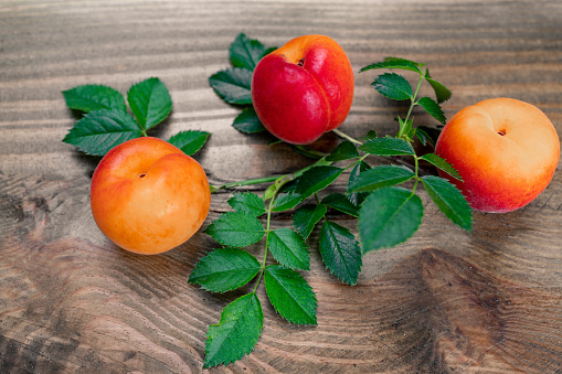 Three apricots with fresh green leaves on a wooden surface