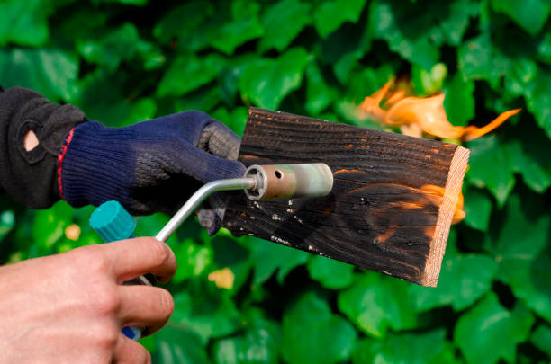 istock DIY process. Wood treatment with gas burner fire 1478424023