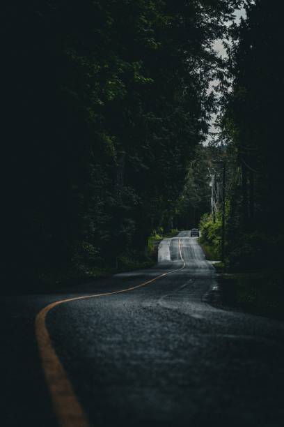 istock Vertical shot of an asphalt highway in between dense tree land 1478424124