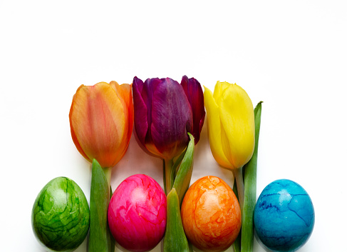 Four bright colourful Easter eggs and three tulips on a white background