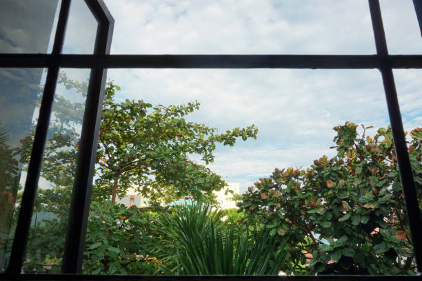 Seen from the open window, a wallpaper image of nature, a blend of leaves against a bright cloudy sky