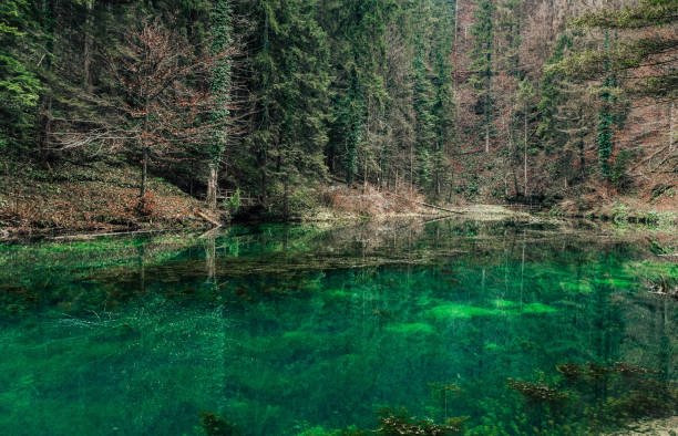 istock Mesmerizing turquoise pond in the forest 1478428277