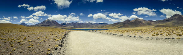 istock Laguna Miscanti in Northern Chile 1478437330