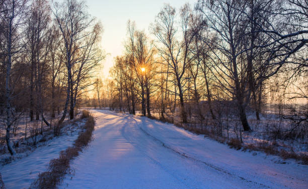istock Winter Landscape with a road in the forest 1478443542