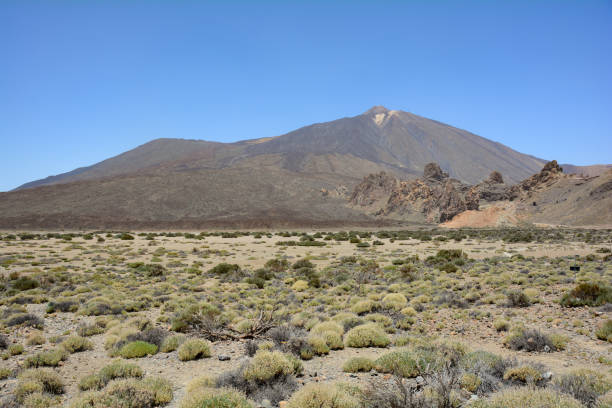 istock View of Mount Teide, Tenerife, Spain 1478449682