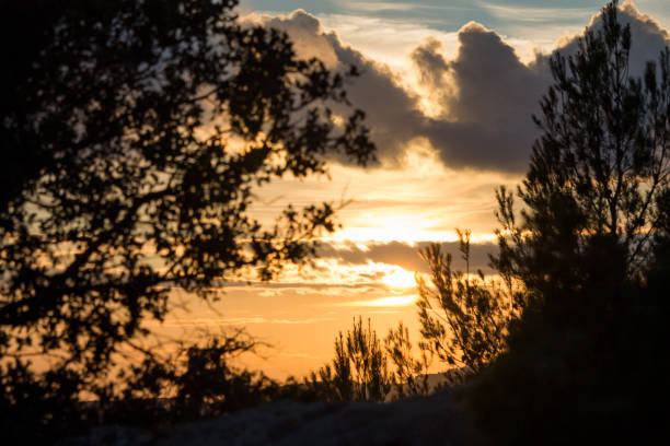 Sunset with a frame of silhouettes of pine trees and the sun covered by clouds in the Red Fountain of Alcoy