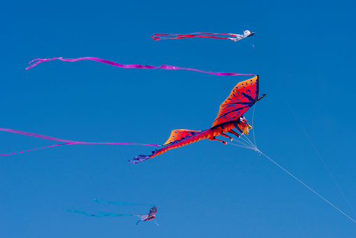 Colorful kites fly in a blue sky above the Johnson Beach National Seashore in Pensacola, Florida, on March 30, 2023.