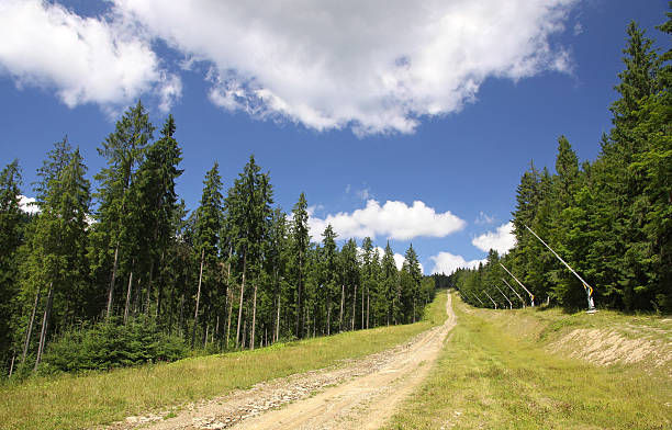 istock Ski track in summer mountains 147845959