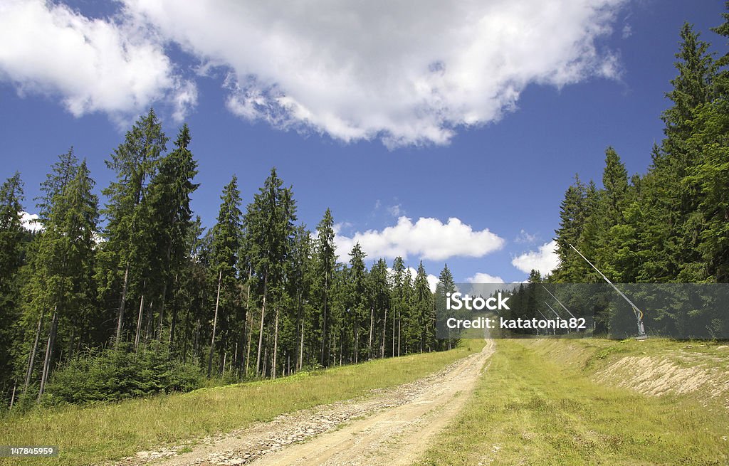Ski track in summer mountains Ski track in summer. Bukovel ski resort, Carpathian mountains, Ukraine Beauty In Nature Stock Photo