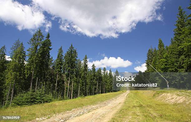 Ski Track In Summer Mountains Stock Photo - Download Image Now - Beauty In Nature, Bukovel, Carpathian Mountain Range