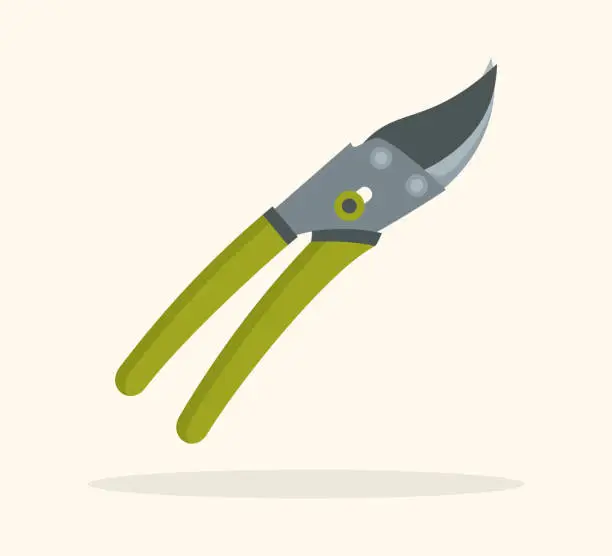 Vector illustration of Garden pruner with green handles. A tool for cutting branches and stems. Flat vector illustration
