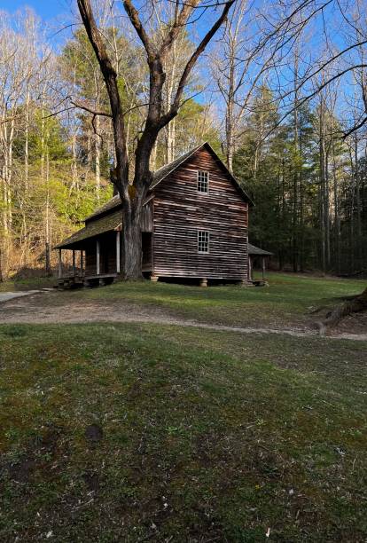 istock Smoky Mountains National Park 1478464021