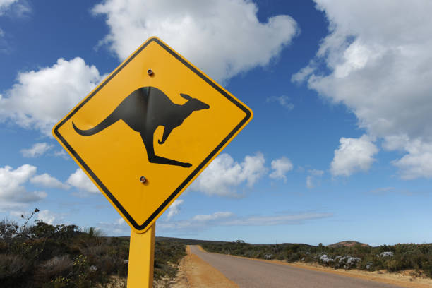 istock Kangaroo road sign on outback road, WA, Australia 1478466965