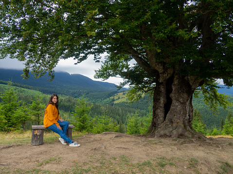 Side view of young woman in yellow sweater and blue jeans admiring breathtaking view while sitting on bench in the mountains. Female in casual clothes sits under large tree with forest background.