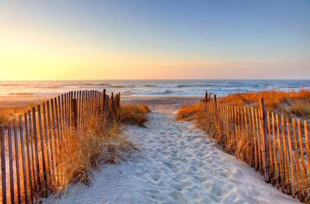istock Ponquogue Beach in the Hamptons 1478474524