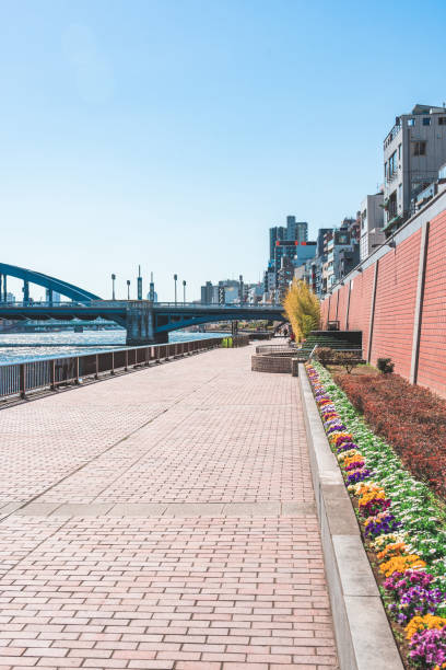istock Asakusa panorama with Sumida river and Skytree 1478482644