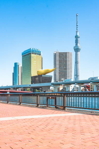 istock Asakusa panorama with Sumida river and Skytree 1478485346