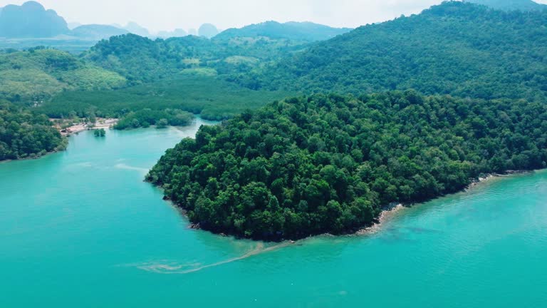 Sea Khlong Sai  river mouth Krabi 4K