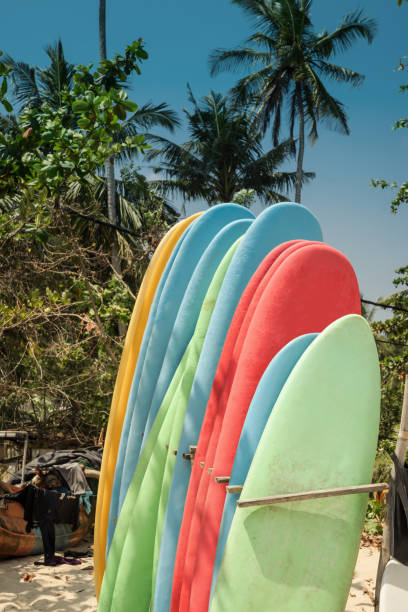 istock Set of different color surfboards on sandy beach seacoast. 1478494879
