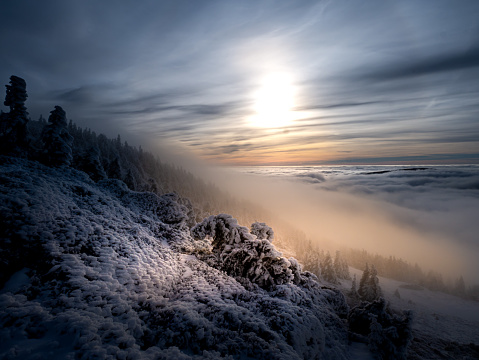 Scenic landscape with a view from a mounatin range to the valley filled with low clouds and fog during temperature inversion,snow,rime,clouds,spruce trees,sun.Jeseniky mountains.Czech republic.