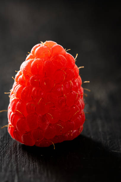 Raspberry on Black with Copy Space on Black stock photo