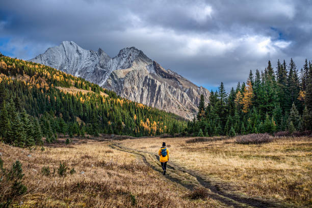 istock Hiking the Pocaterra Cirque Trail 1478498320