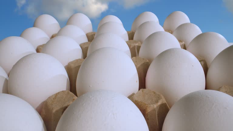 panorama of a package with two dozen white eggs against a blue sky